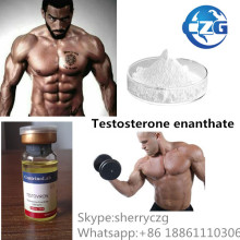 Testostérone d&#39;hormone stéroïde de supplément de bodybuilding Te Enanthate